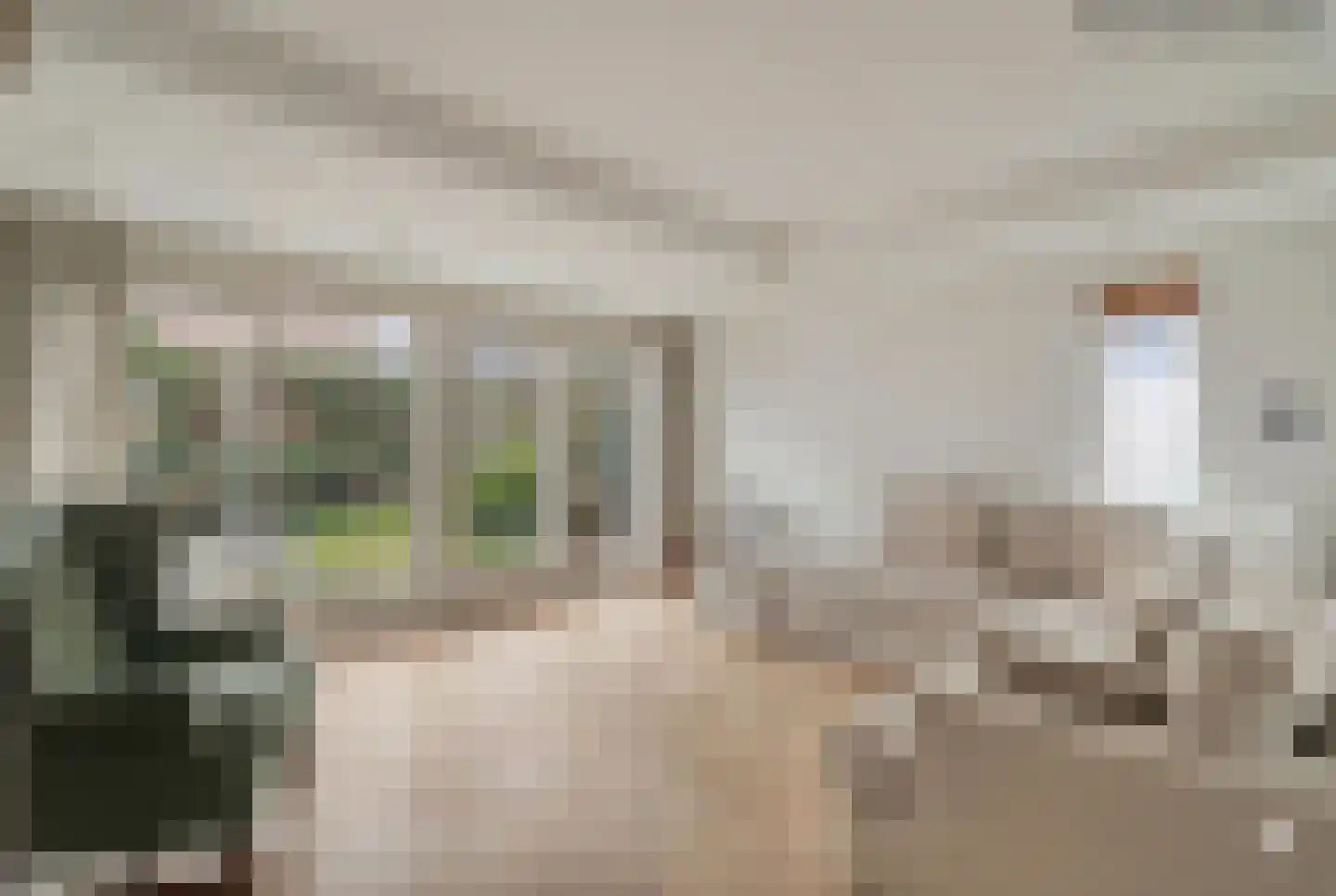 Aafje Heynislaan 2 Oegstgeest thumbnail 4