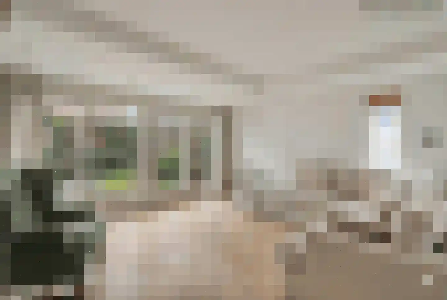 Aafje Heynislaan 2 Oegstgeest thumbnail 9