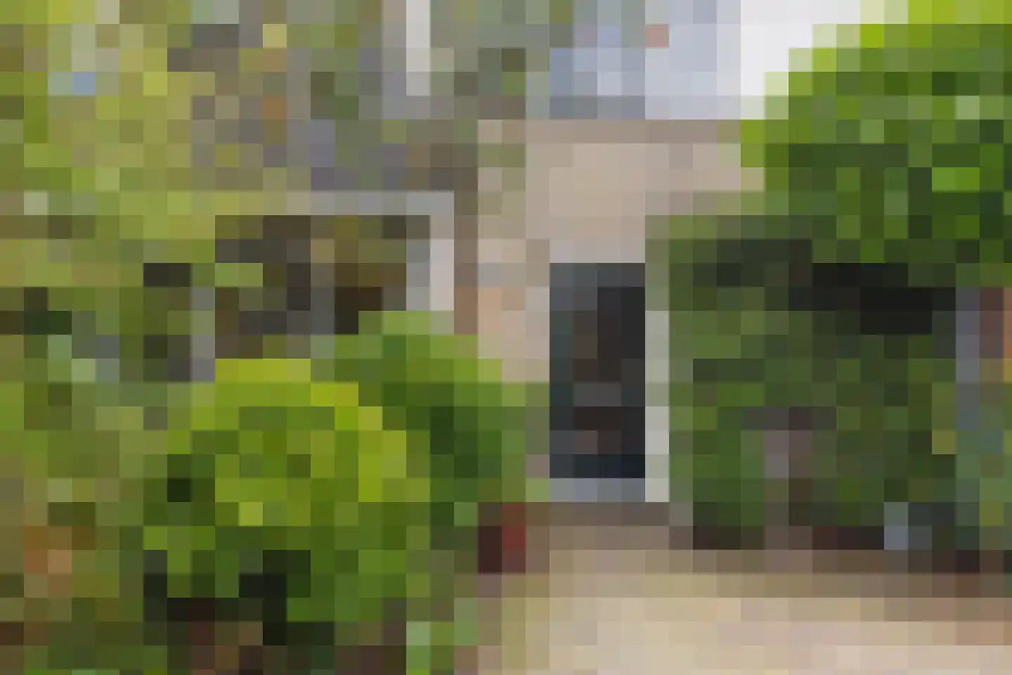 Aafke van Hulststraat 1 Castricum thumbnail 11