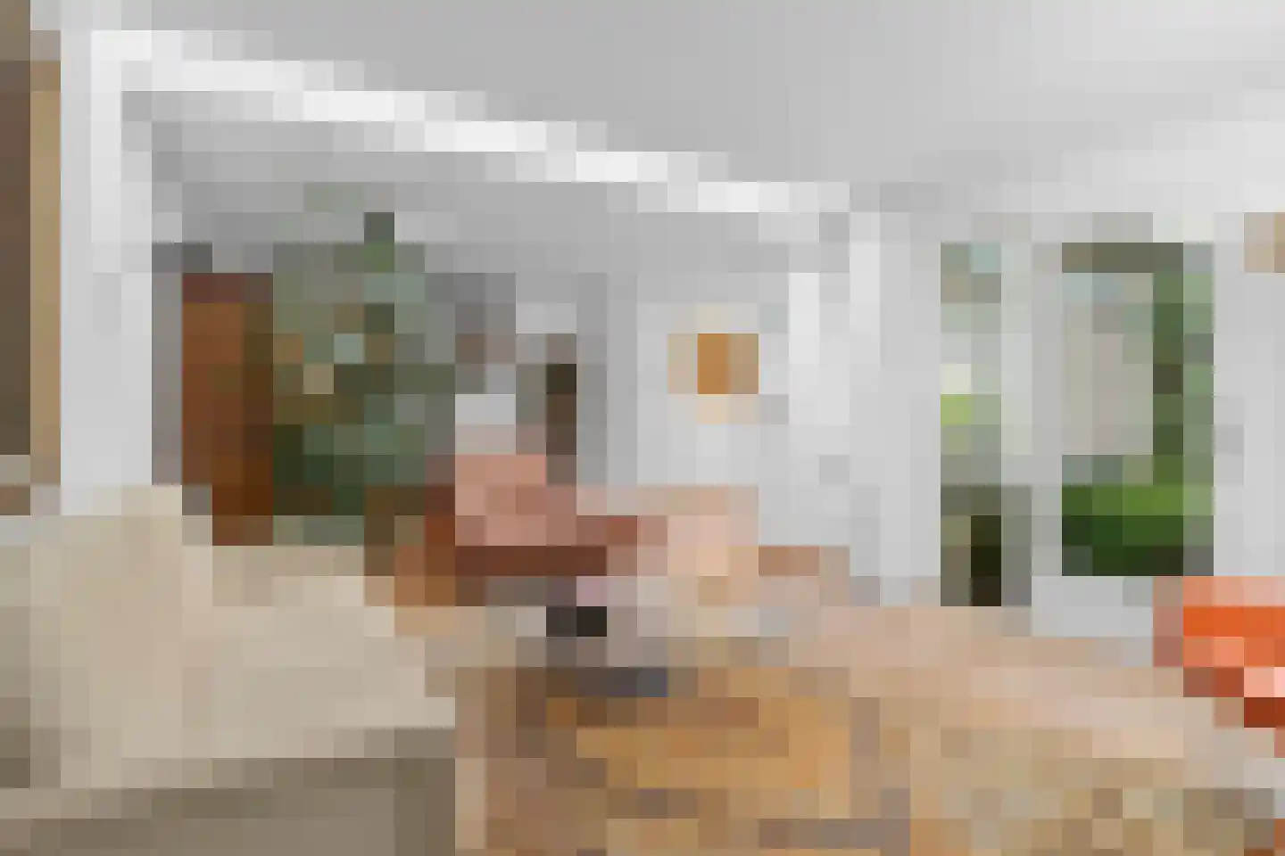 Aafke van Hulststraat 1 Castricum thumbnail 13
