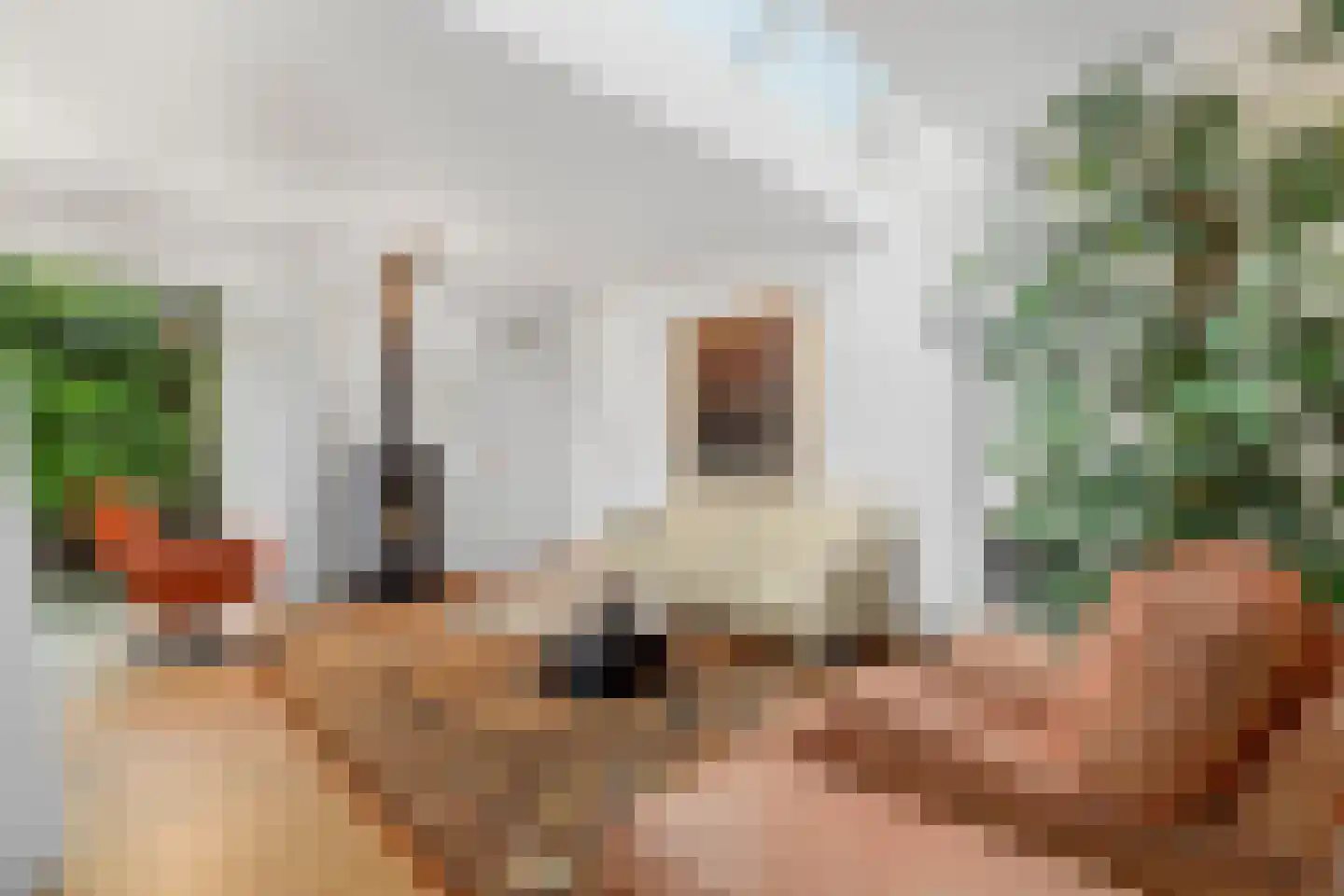 Aafke van Hulststraat 1 Castricum thumbnail 14