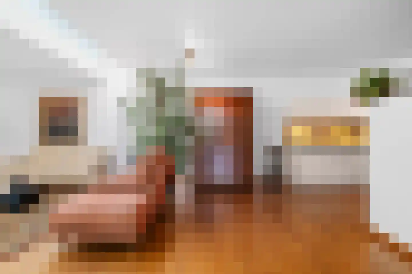Aafke van Hulststraat 1 Castricum thumbnail 15