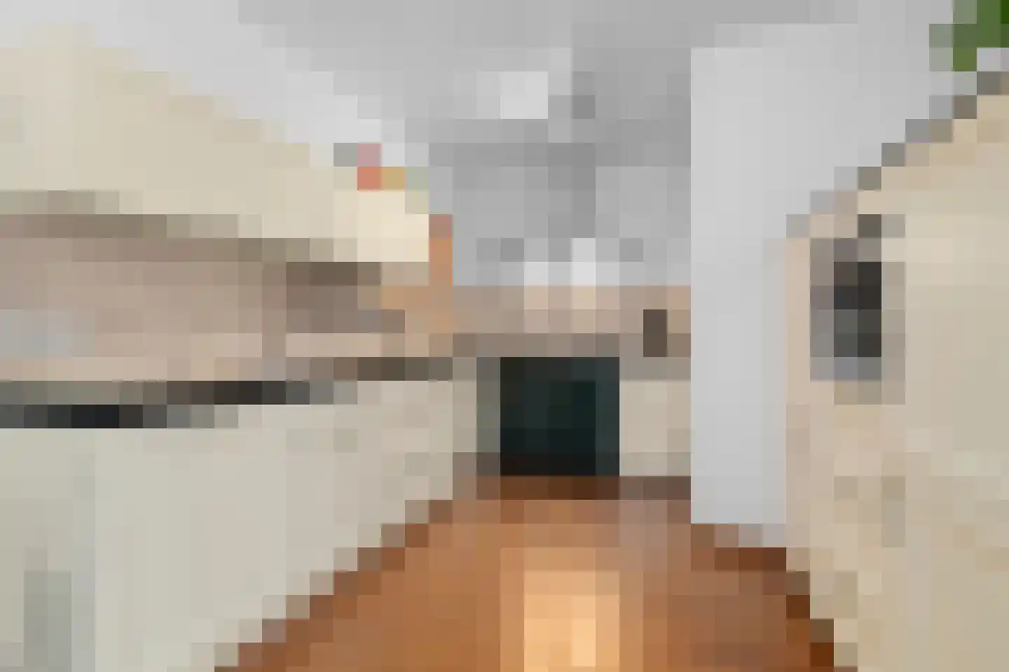 Aafke van Hulststraat 1 Castricum thumbnail 17