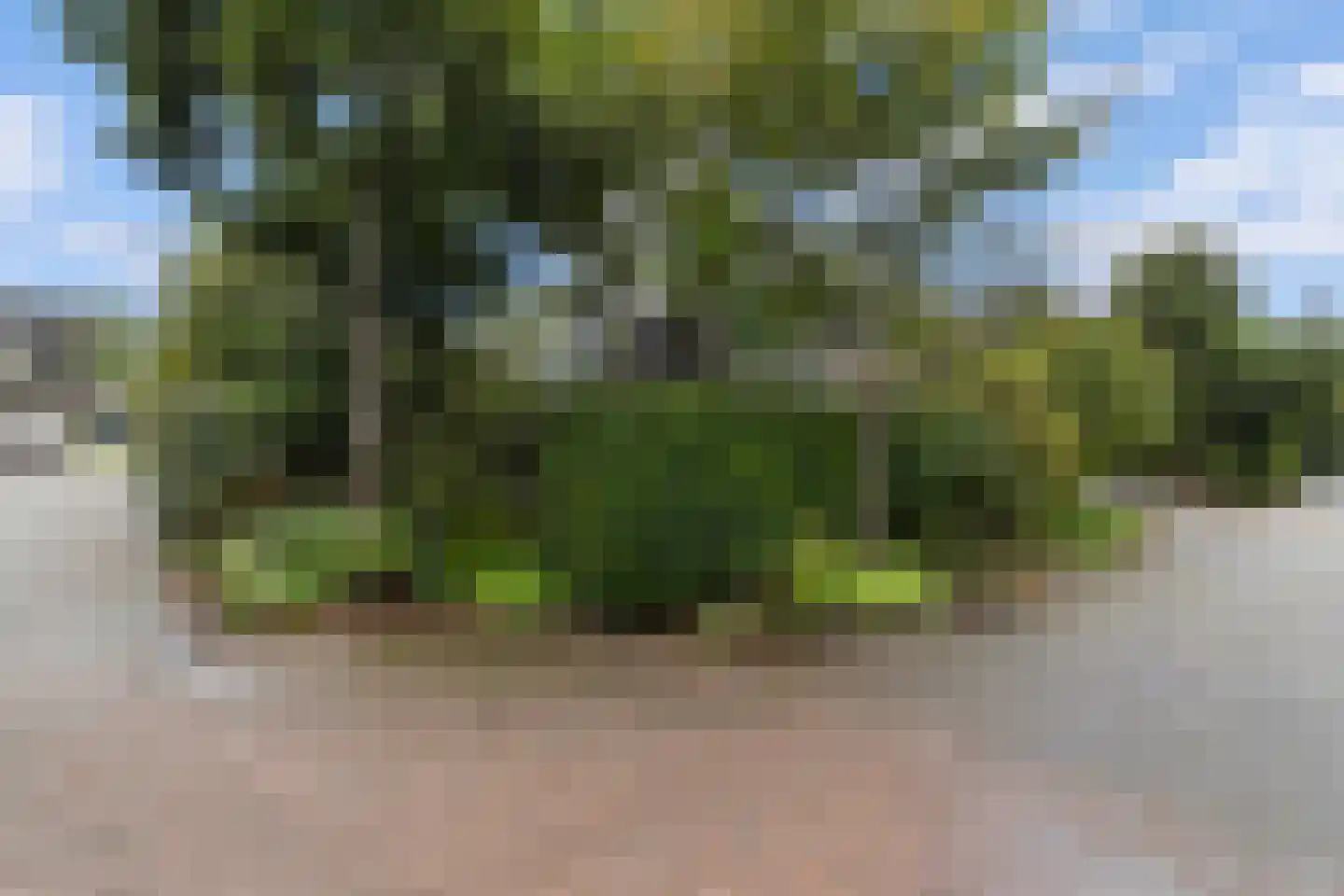 Aafke van Hulststraat 1 Castricum thumbnail 8
