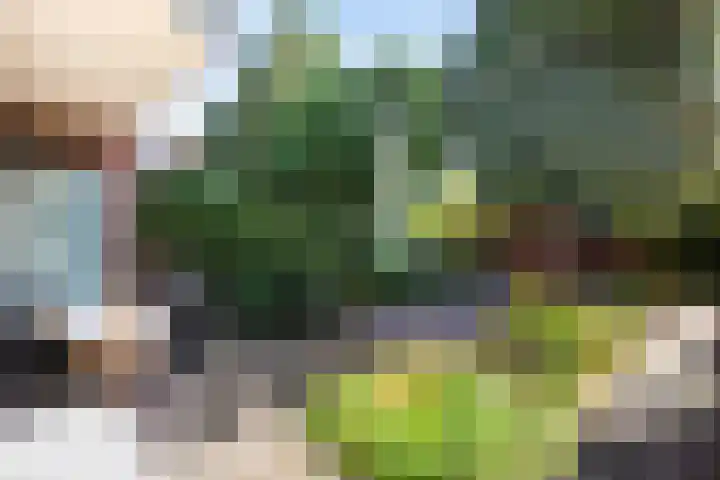 Aagje Dekenlaan 12 Soest thumbnail 17