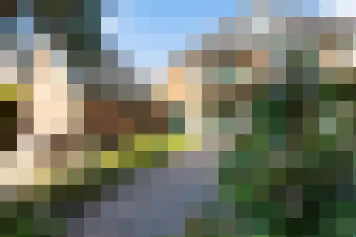 Aagje Dekenlaan 12 Soest thumbnail 19