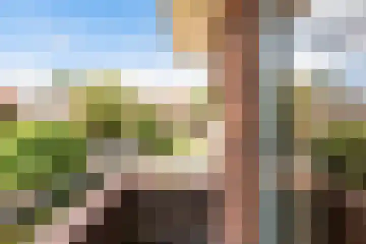 Aagje Dekenlaan 12 Soest thumbnail 24
