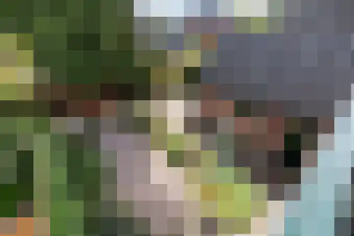 Aagje Dekenlaan 12 Soest thumbnail 27