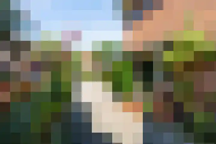 Aagje Dekenlaan 12 Soest thumbnail 5