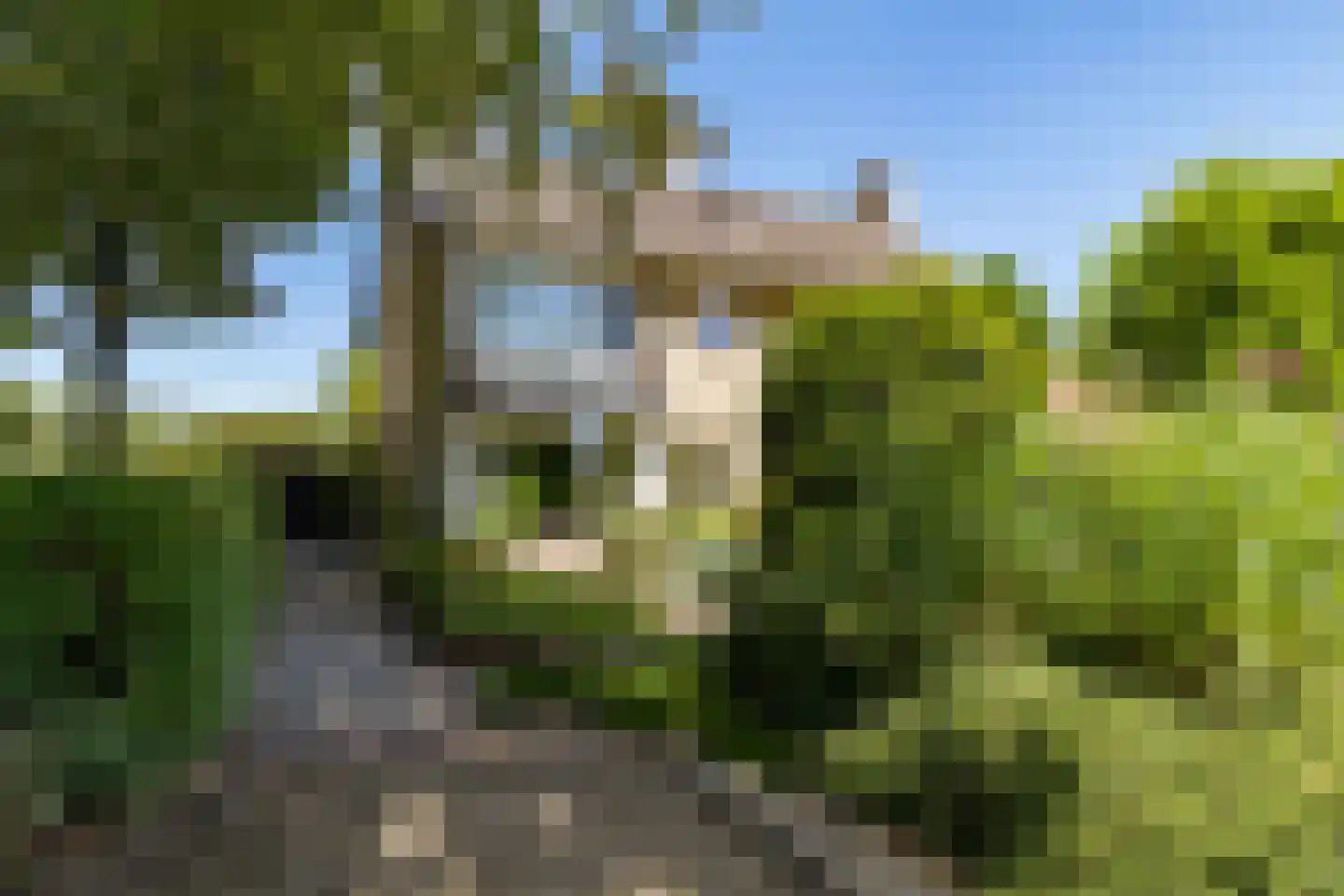 Aagje Dekenlaan 189 Bussum