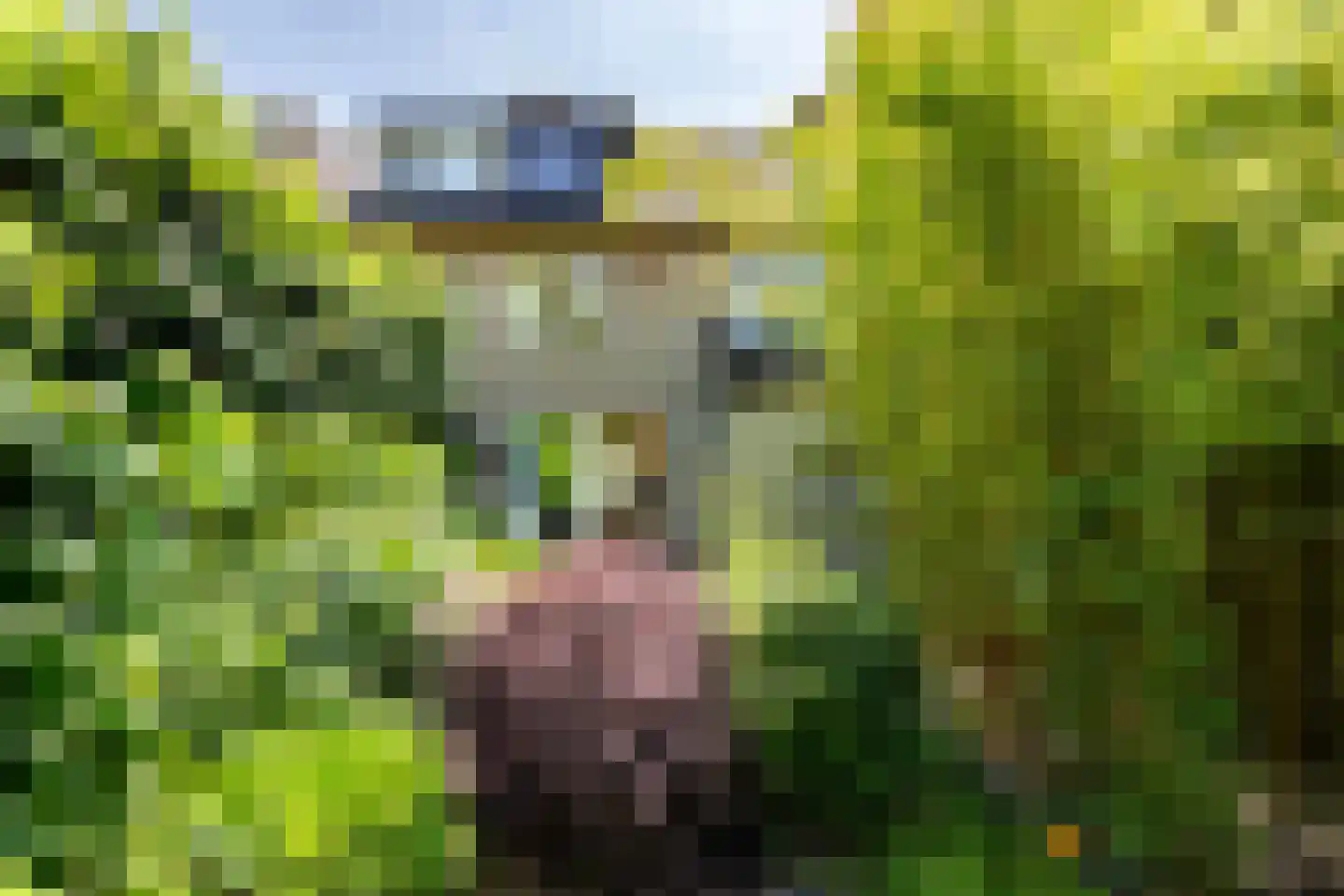 Aagje Dekenlaan 189 Bussum foto 2