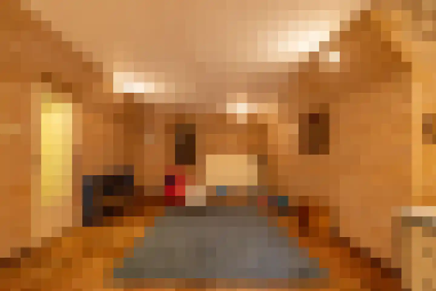 Aagje Dekenlaan 189 Bussum thumbnail 20