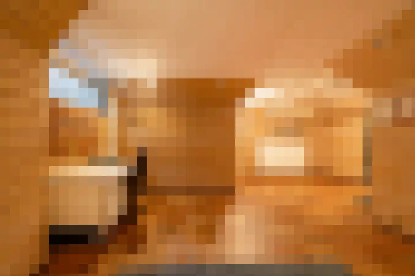 Aagje Dekenlaan 189 Bussum thumbnail 21