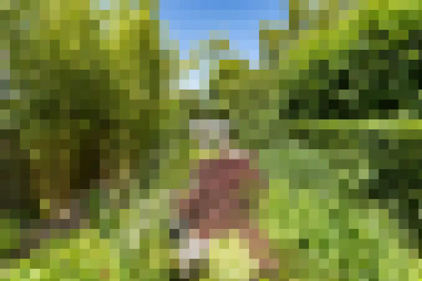 Aagje Dekenlaan 189 Bussum thumbnail 23