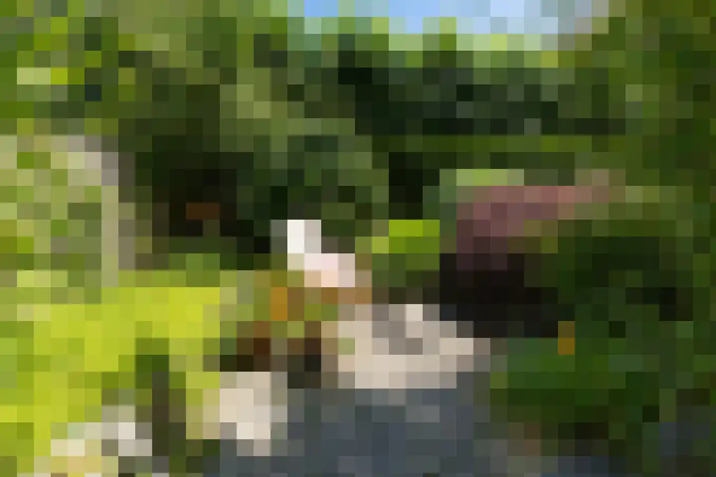 Aagje Dekenlaan 189 Bussum thumbnail 24
