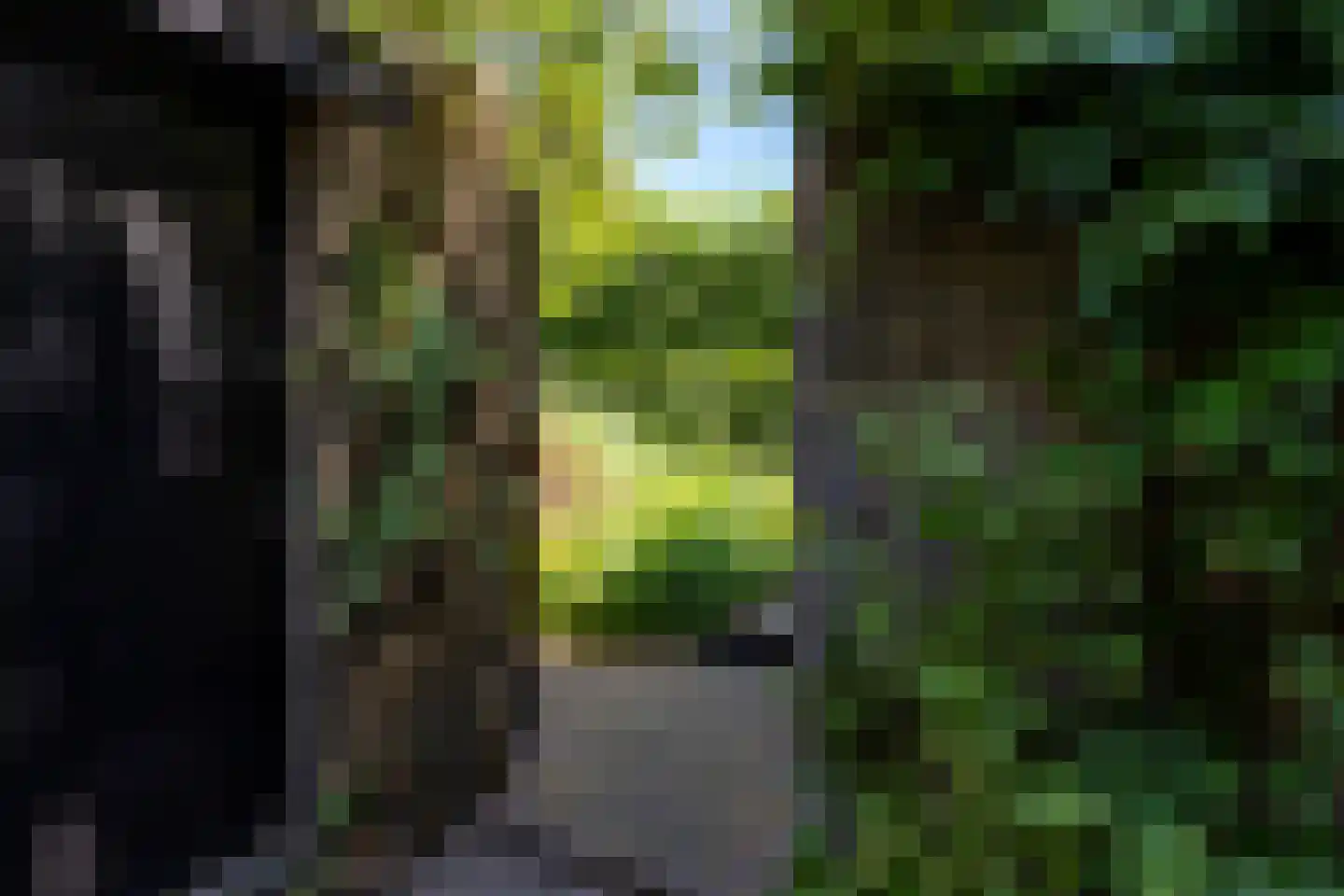 Aagje Dekenlaan 189 Bussum thumbnail 26