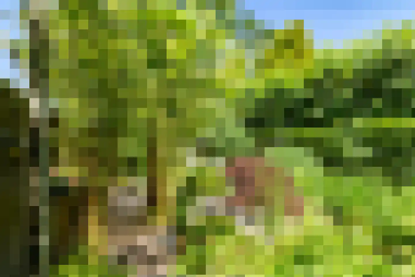 Aagje Dekenlaan 189 Bussum thumbnail 27