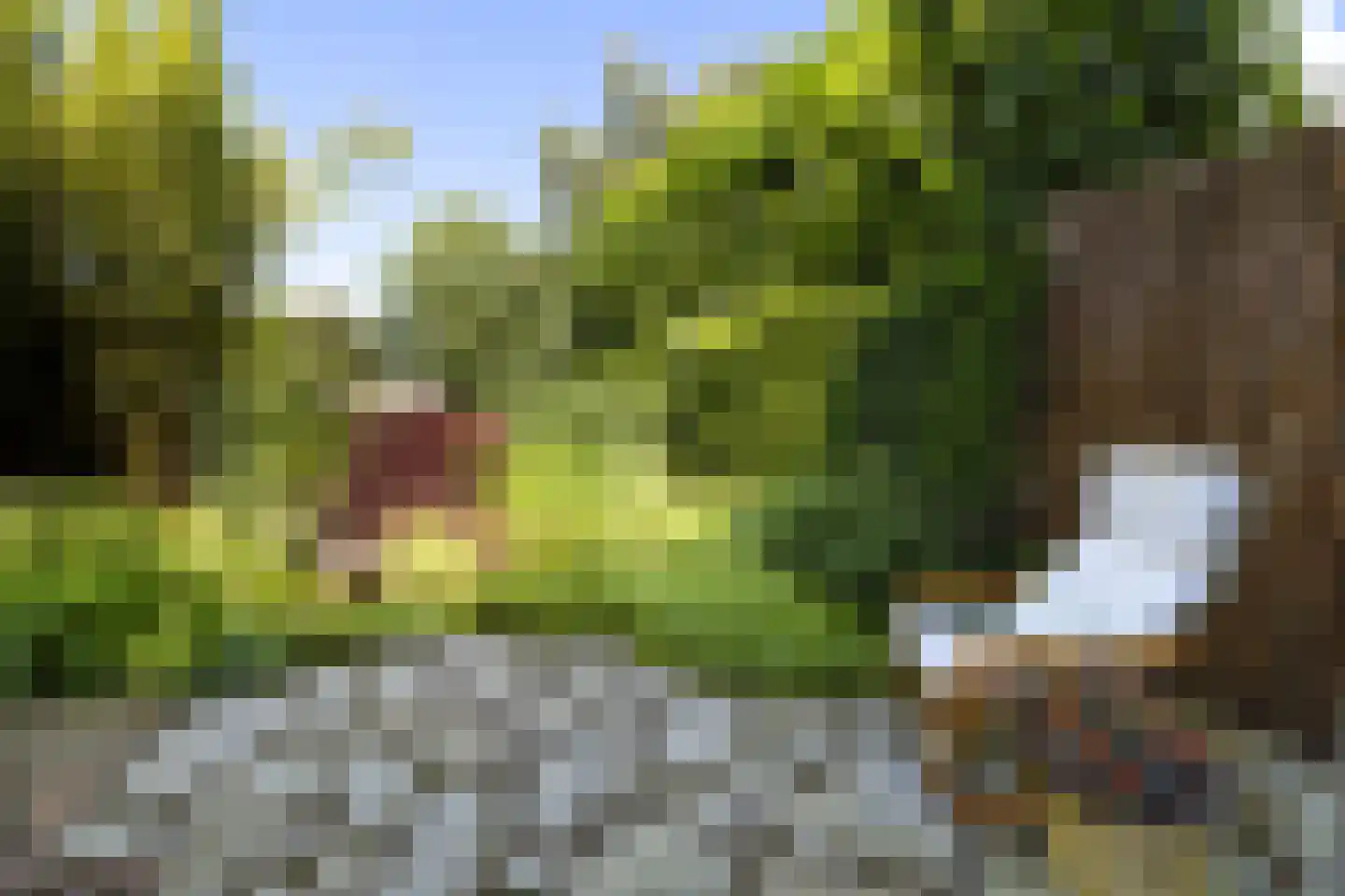 Aagje Dekenlaan 189 Bussum thumbnail 28