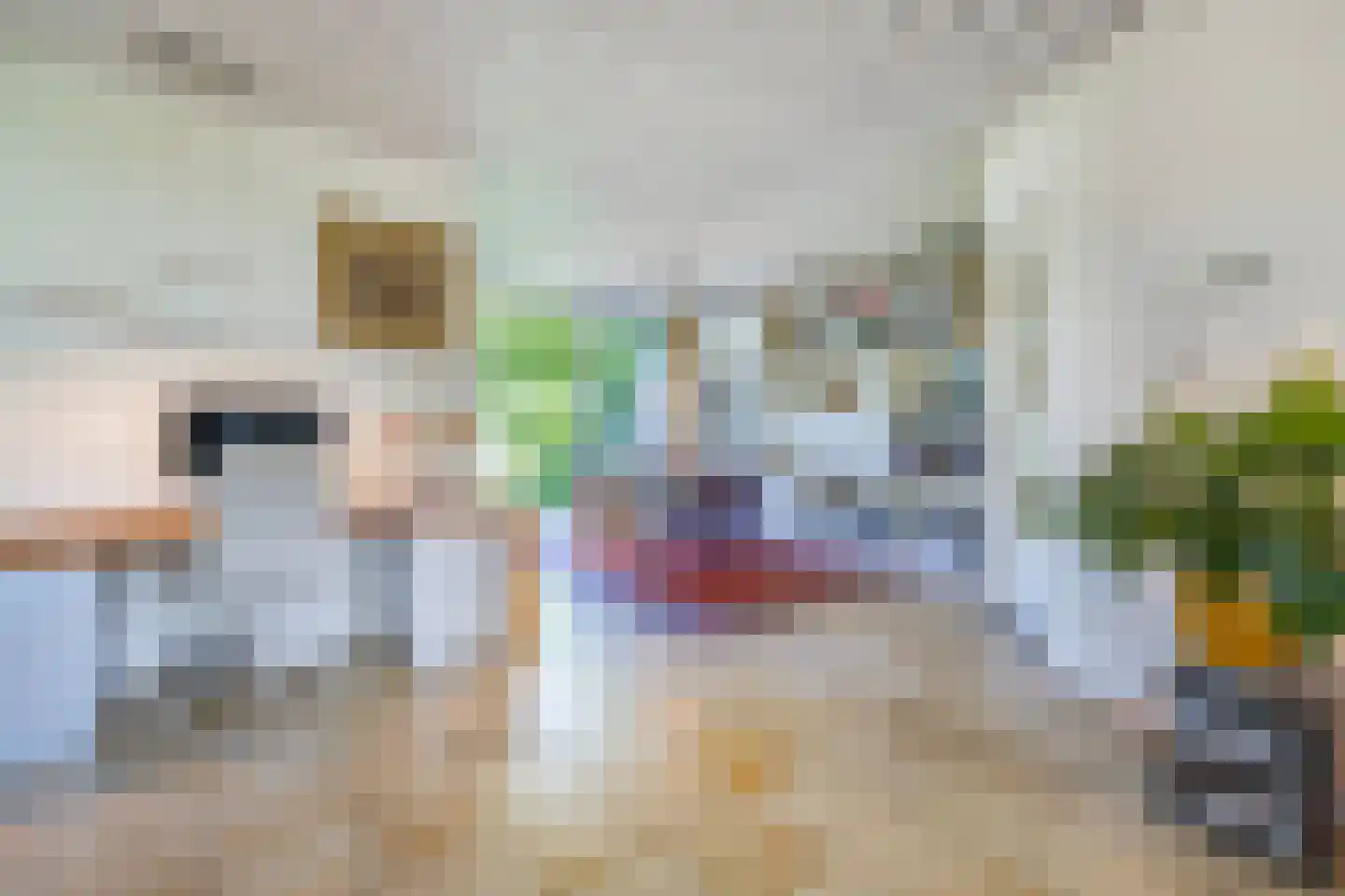 Aagje Dekenlaan 189 Bussum thumbnail 6