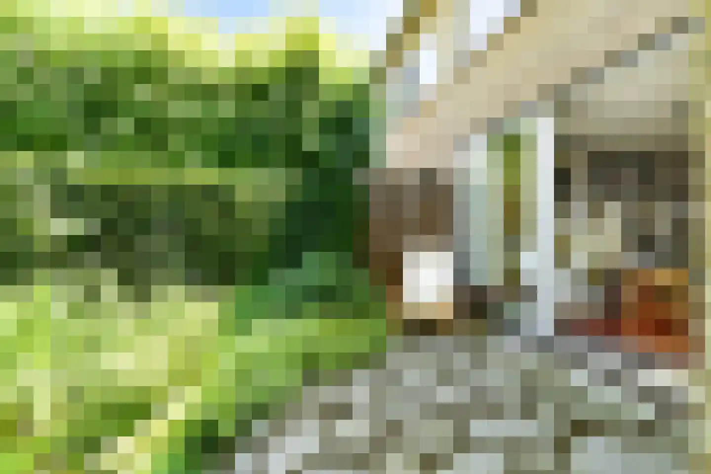 Aagje Dekenlaan 189 Bussum thumbnail 8