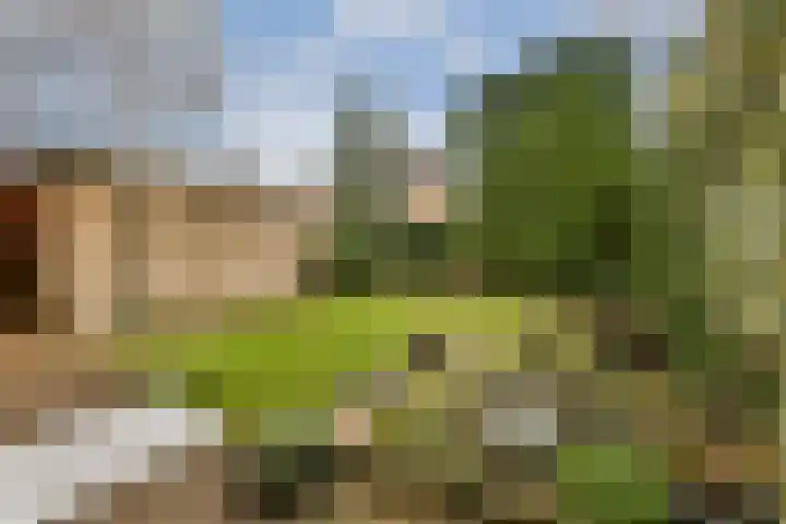 Aagje Dekenlaan 203 Bussum thumbnail 10