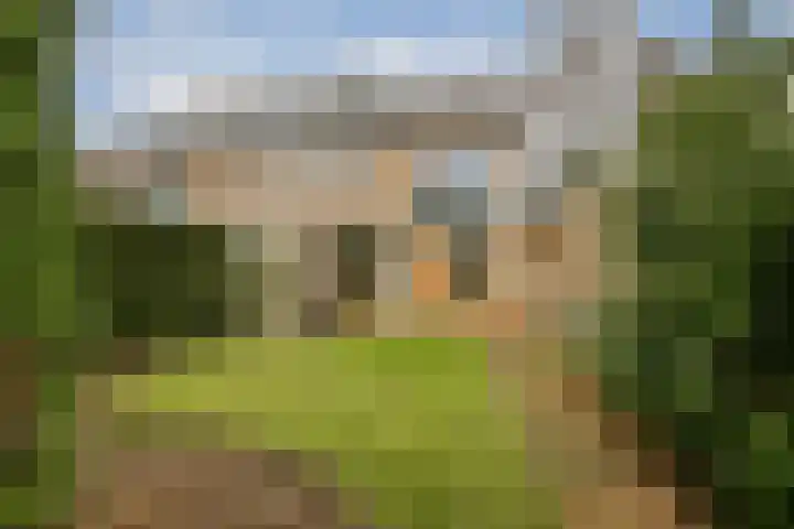 Aagje Dekenlaan 203 Bussum thumbnail 11