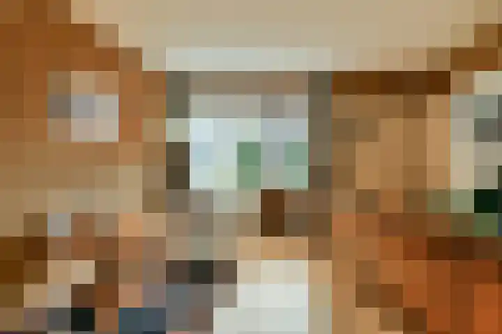 Aagje Dekenlaan 203 Bussum thumbnail 17