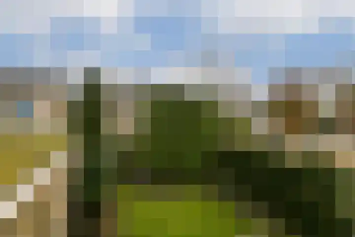 Aagje Dekenlaan 203 Bussum thumbnail 19