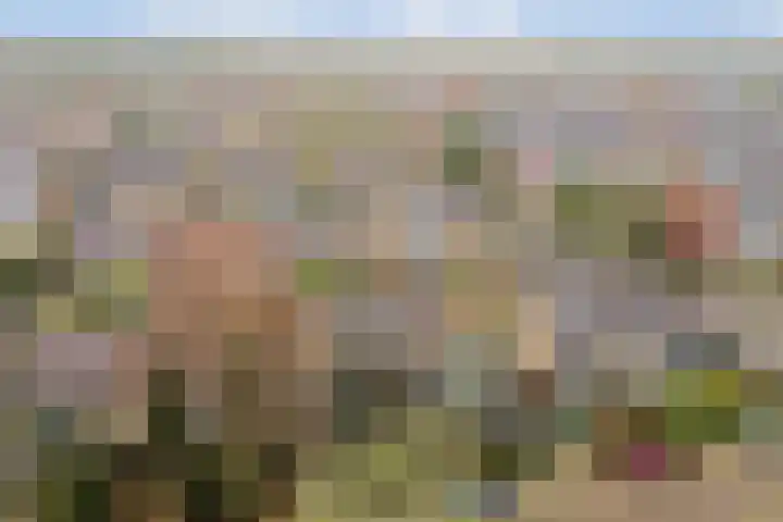 Aagje Dekenlaan 203 Bussum foto 2