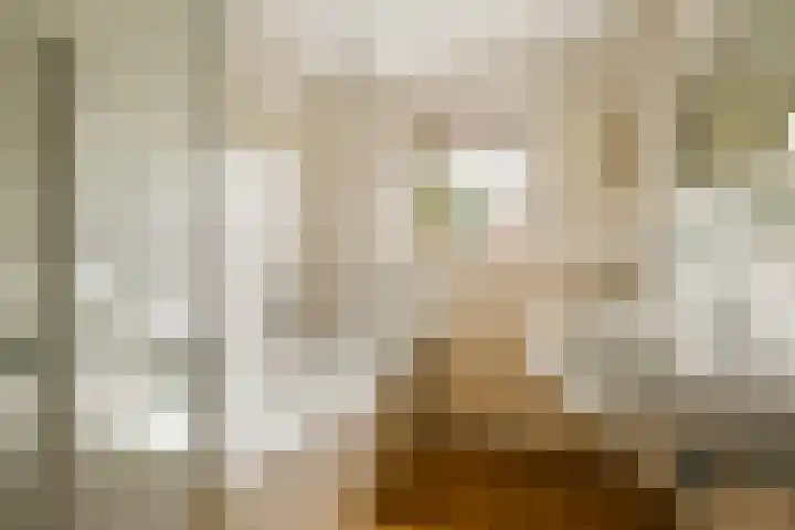 Aagje Dekenlaan 203 Bussum thumbnail 21