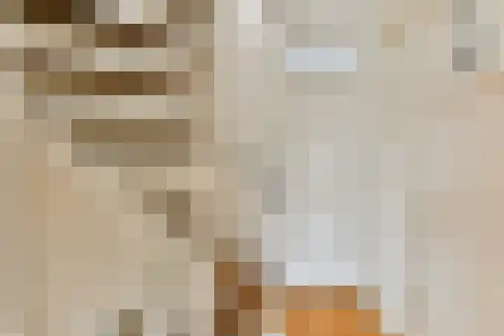 Aagje Dekenlaan 203 Bussum thumbnail 24
