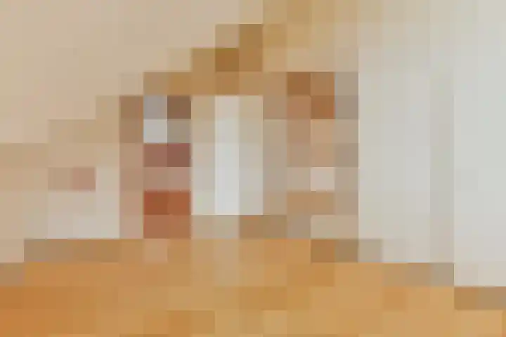 Aagje Dekenlaan 203 Bussum thumbnail 26