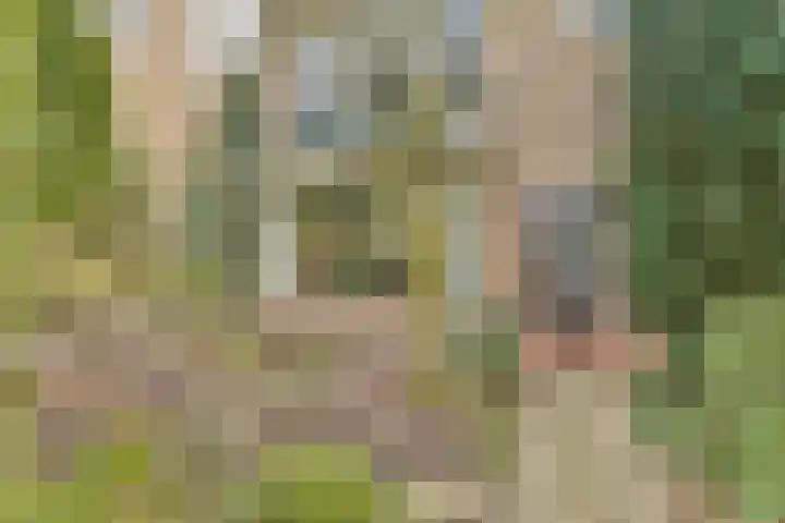 Aagje Dekenlaan 203 Bussum foto 3