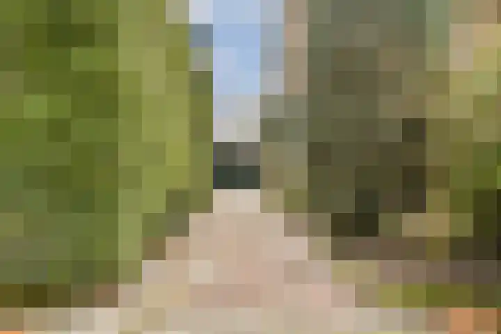 Aagje Dekenlaan 203 Bussum thumbnail 35
