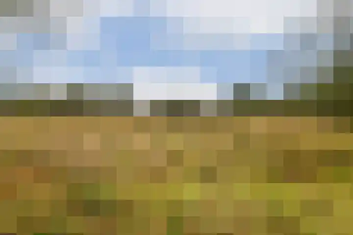 Aagje Dekenlaan 203 Bussum thumbnail 38