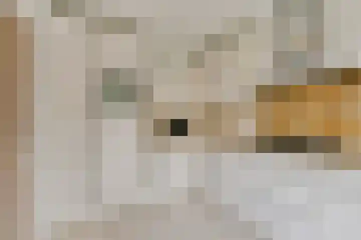 Aagje Dekenlaan 203 Bussum thumbnail 7