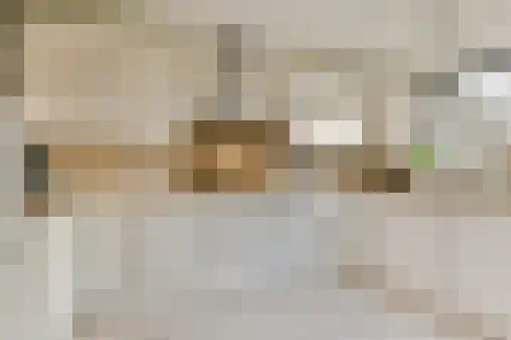 Aagje Dekenlaan 203 Bussum thumbnail 8