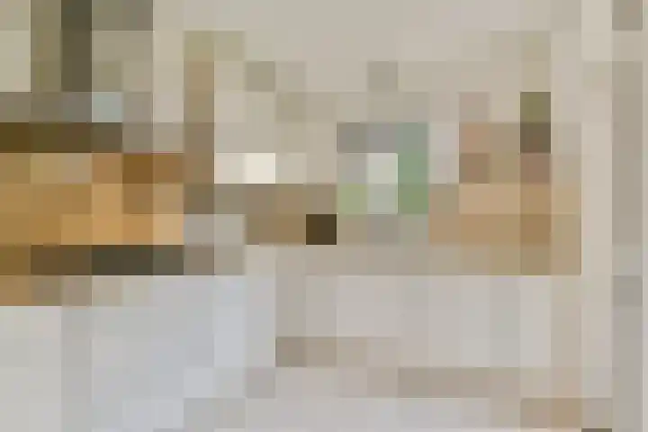 Aagje Dekenlaan 203 Bussum thumbnail 9