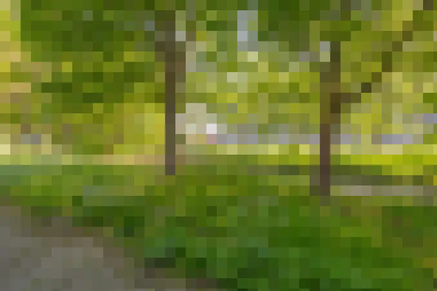 Aagje Dekenlaan 23 Delft thumbnail 25
