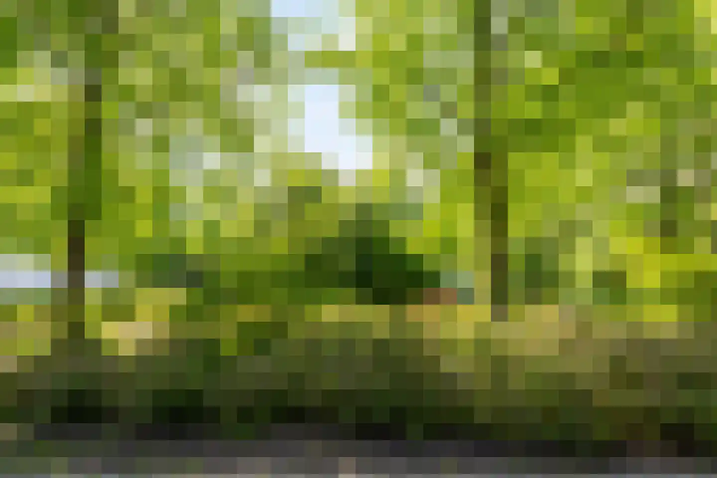 Aagje Dekenlaan 23 Delft thumbnail 26