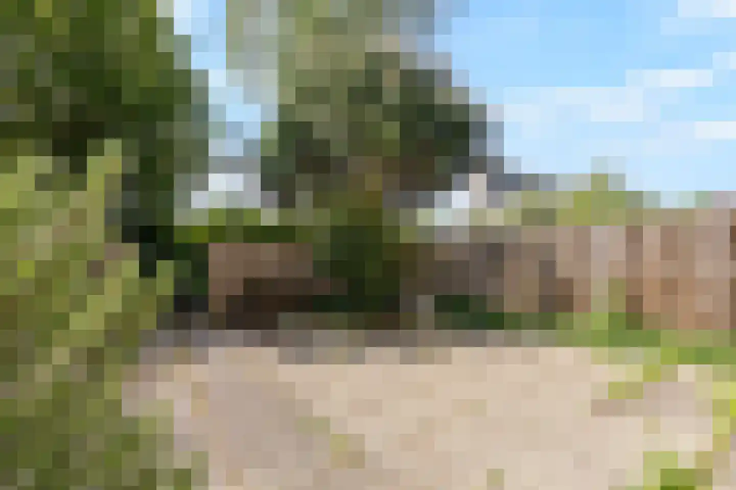 Aagje Dekenlaan 23 Delft thumbnail 4