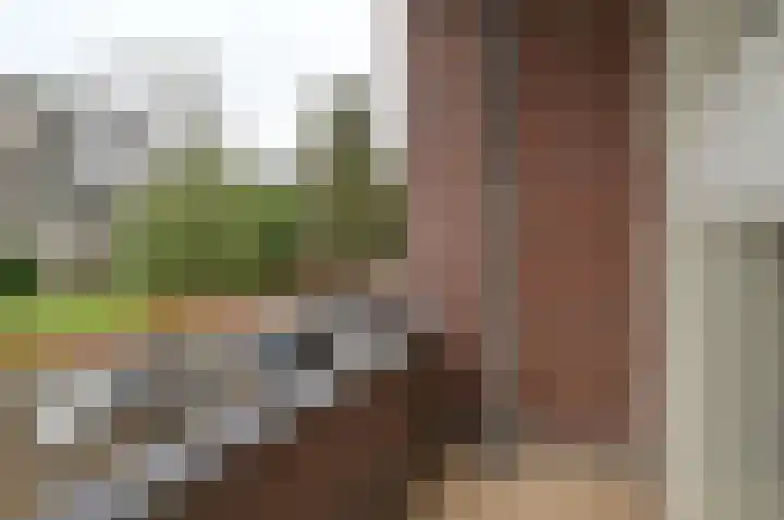 Aagje Dekenlaan 26 Bussum thumbnail 19