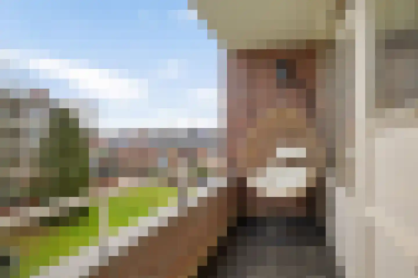 Aagje Dekenlaan 28 Bussum thumbnail 13