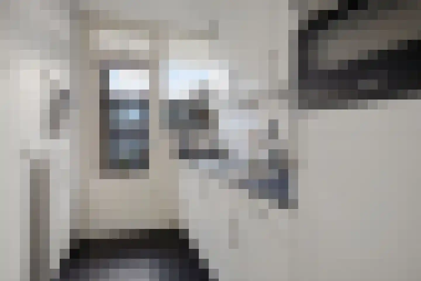 Aagje Dekenlaan 28 Bussum thumbnail 15