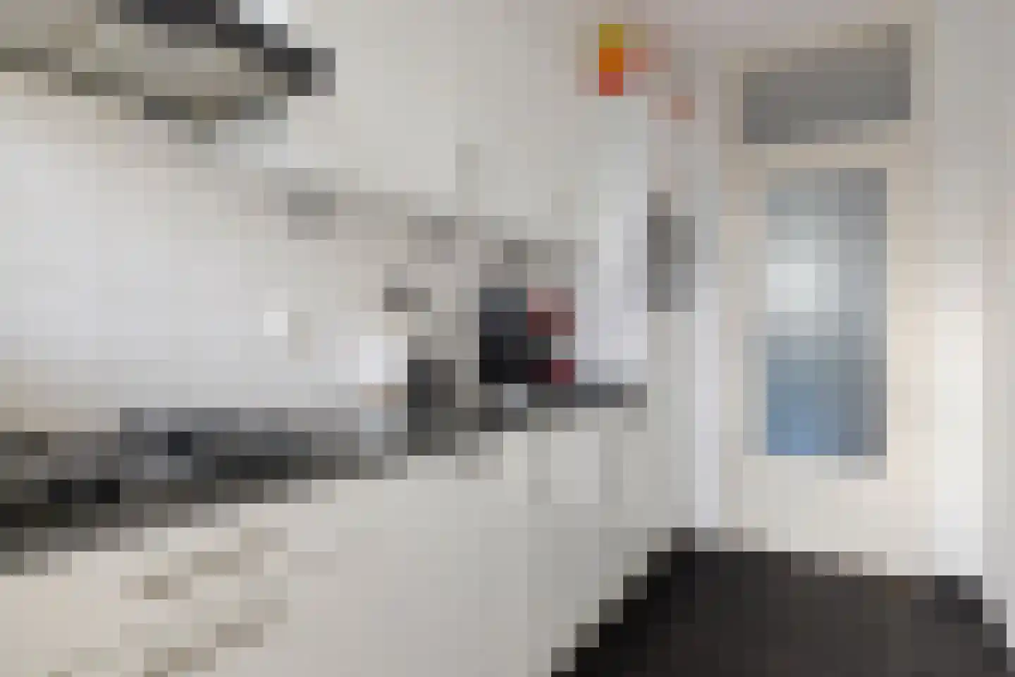 Aagje Dekenlaan 28 Bussum thumbnail 16
