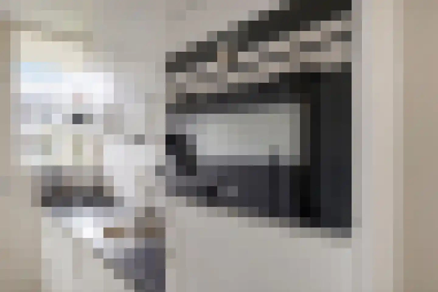 Aagje Dekenlaan 28 Bussum thumbnail 17