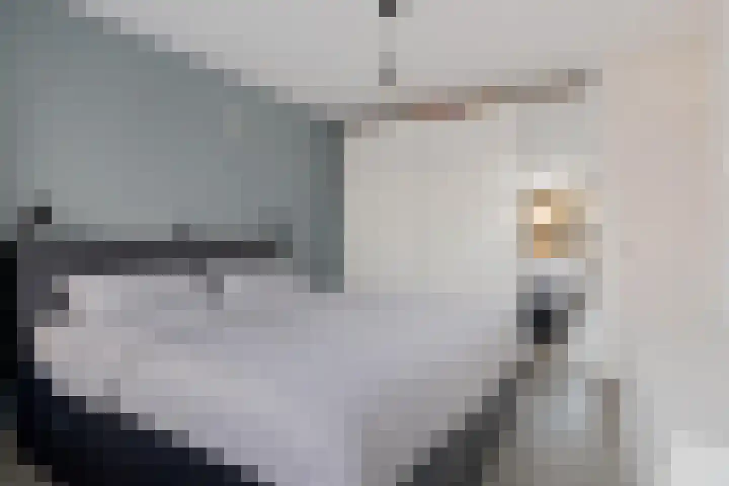 Aagje Dekenlaan 28 Bussum thumbnail 19
