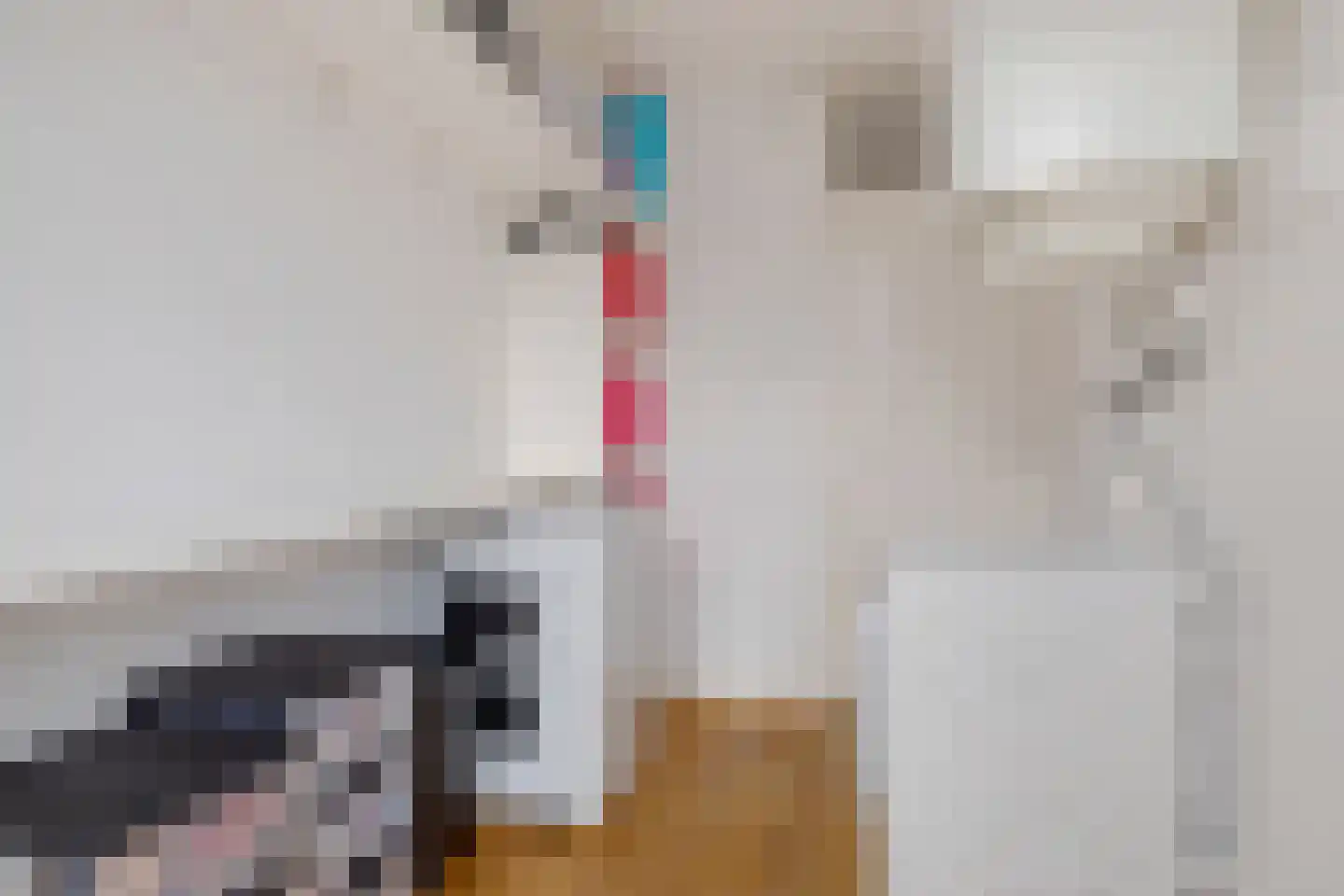 Aagje Dekenlaan 28 Bussum thumbnail 22