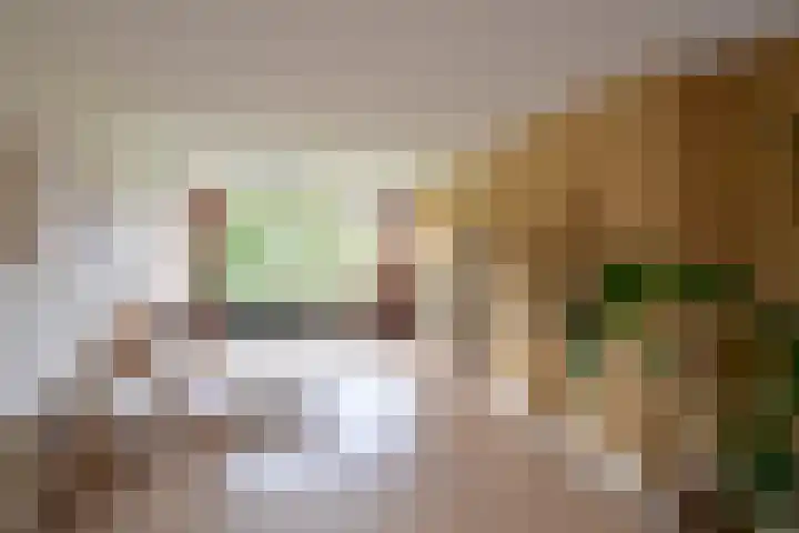 Aagje Dekenlaan 30 Bussum thumbnail 7