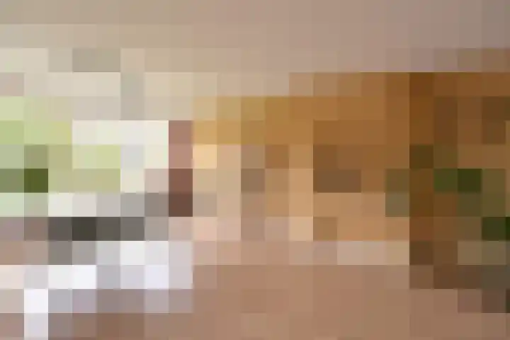 Aagje Dekenlaan 30 Bussum thumbnail 8